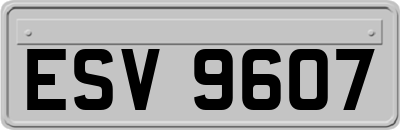 ESV9607