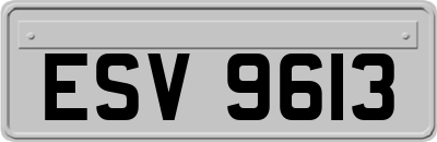 ESV9613