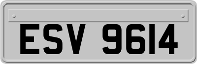ESV9614