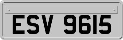 ESV9615