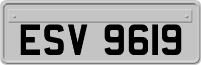 ESV9619