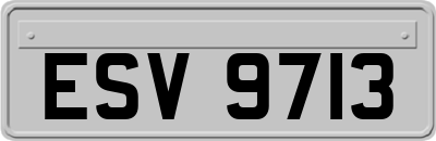 ESV9713