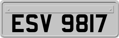 ESV9817