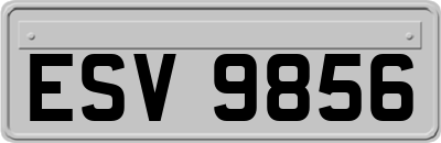 ESV9856
