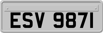 ESV9871