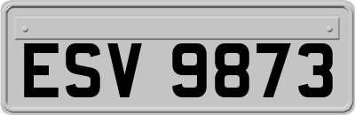 ESV9873