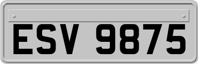 ESV9875
