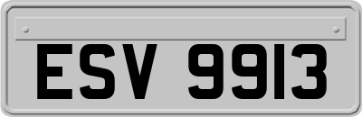 ESV9913