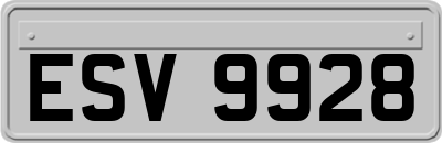 ESV9928