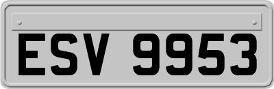 ESV9953