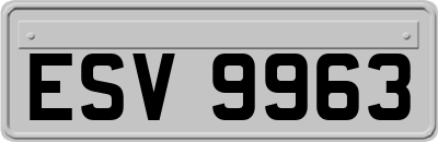 ESV9963