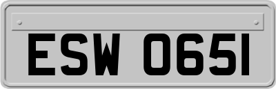 ESW0651