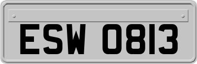 ESW0813