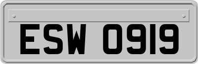 ESW0919