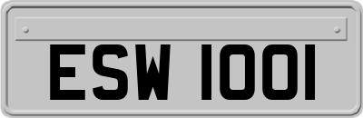 ESW1001
