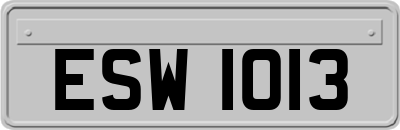 ESW1013