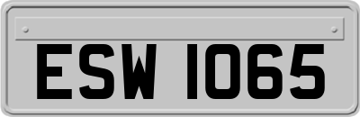 ESW1065