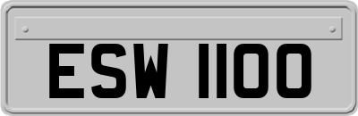 ESW1100