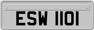 ESW1101