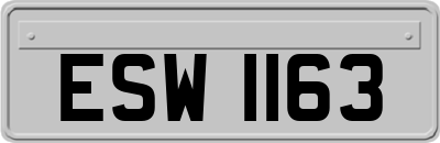 ESW1163