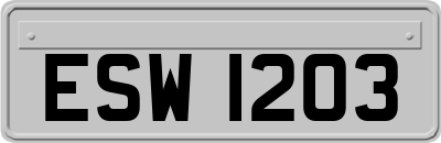 ESW1203