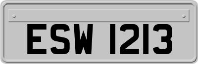 ESW1213