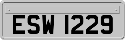 ESW1229