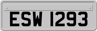 ESW1293