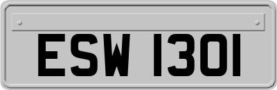 ESW1301