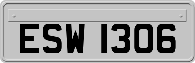 ESW1306