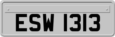 ESW1313