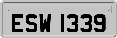 ESW1339