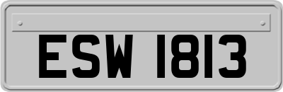 ESW1813