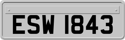 ESW1843