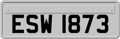 ESW1873