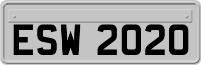 ESW2020