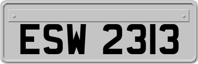 ESW2313