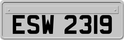 ESW2319