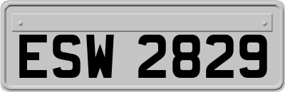 ESW2829