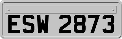 ESW2873