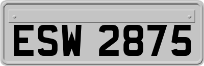 ESW2875