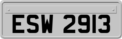 ESW2913