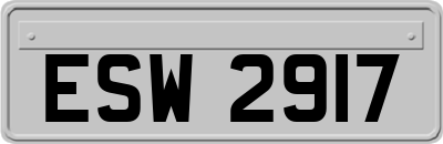 ESW2917