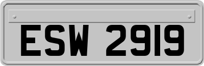 ESW2919