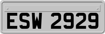 ESW2929