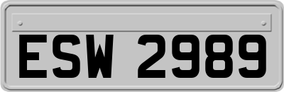 ESW2989