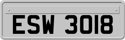 ESW3018
