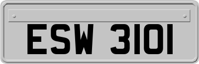 ESW3101