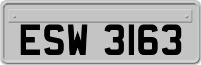 ESW3163