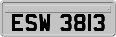 ESW3813